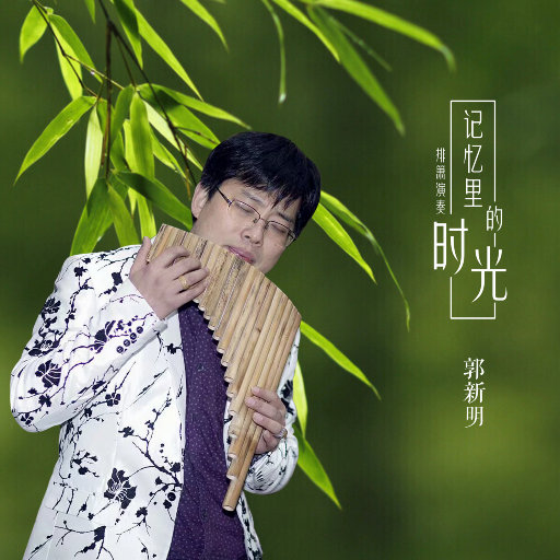 系统图像小鲤导航
